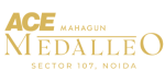  ace medalleo logo